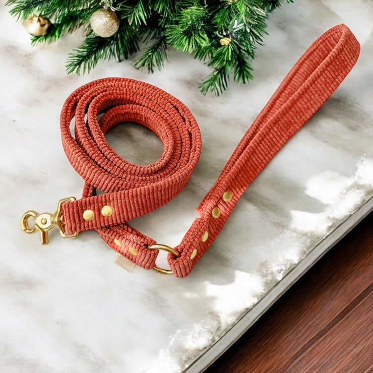 WINTER VELVET DOG AND CAT LEASH