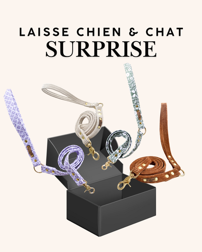 LAISSE SURPRISE CHIEN ET CHAT