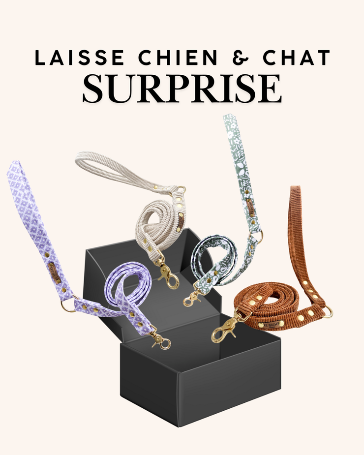 LAISSE SURPRISE CHIEN ET CHAT