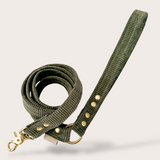 LAISSE CHIEN ET CHAT VELOURS CÔTELÉ - KAKI