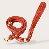 LAISSE CHIEN ET CHAT VELOURS CÔTELÉ - TERRACOTTA