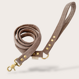 LAISSE CHIEN ET CHAT VELOURS CÔTELÉ - TAUPE