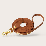 LONGE CHIEN EN BIOTHANE - CAMEL