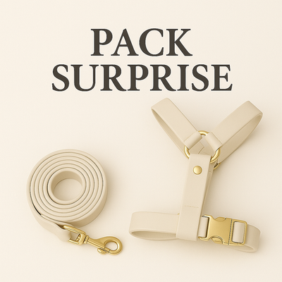SURPRISE DOG HARNESS - BLACK NOVEMBER