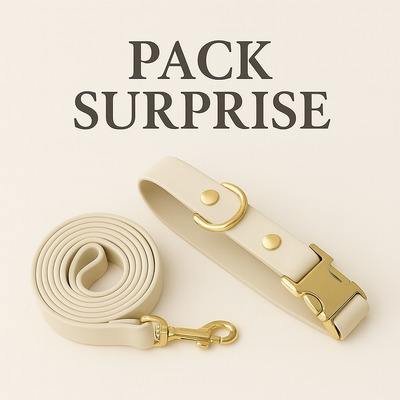 SURPRISE DOG HARNESS - BLACK NOVEMBER