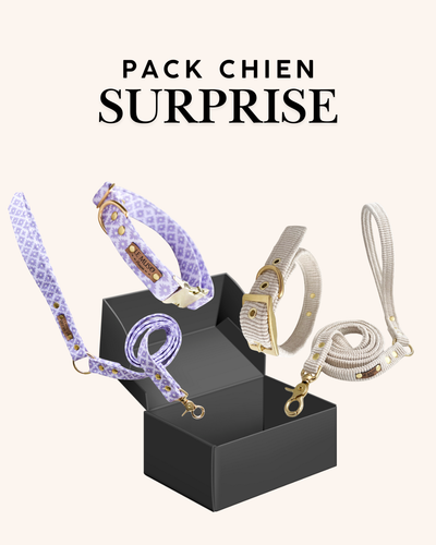 PACK COLLIER + LAISSE SURPRISE POUR CHIEN