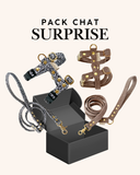 PACK HARNAIS + LAISSE SURPRISE POUR CHAT