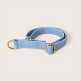 COLLIER CHIEN MARTINGALE - JEAN RECYLÉ - RE-JEAN PETS