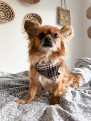 BANDANA CHIEN ET CHAT TARTAN - MARRON/BEIGE