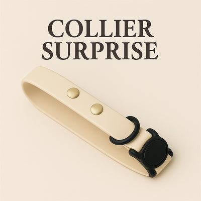 SURPRISE CAT NECKLACE - BLACK NOVEMBER