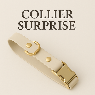 SURPRISE COLLAR FOR DOG - BLACK NOVEMBER