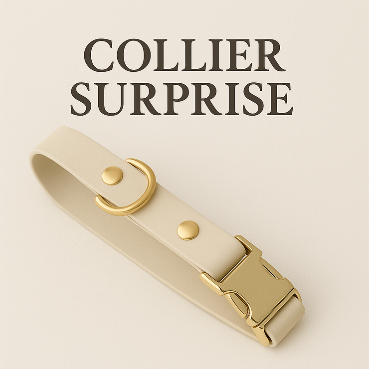 SURPRISE COLLAR FOR DOG - BLACK NOVEMBER