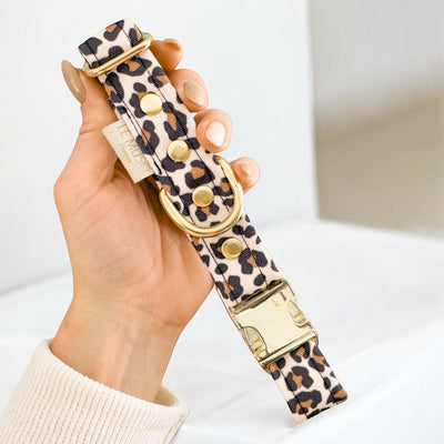 COLLIER CHIEN À CLIP - LÉOPARD IMPERMÉABLE