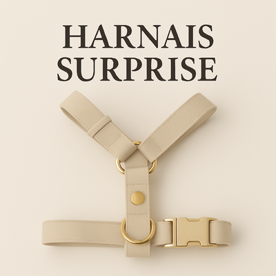SURPRISE DOG HARNESS - BLACK NOVEMBER