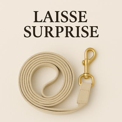 SURPRISE LEASH FOR DOG AND CAT - BLACK NOVEMBER