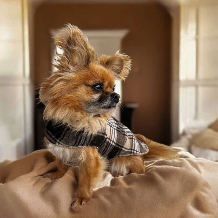 MANTEAU POUR CHIEN ET CHAT TARTAN - BEIGE/MARRON