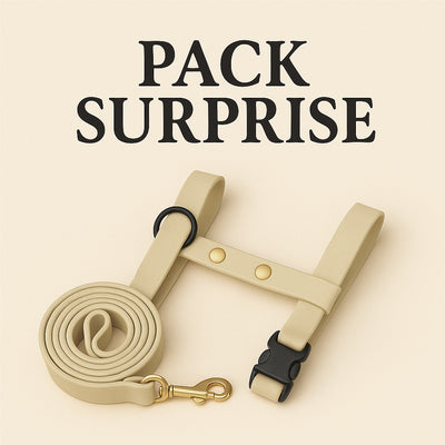 SURPRISE DOG HARNESS - BLACK NOVEMBER